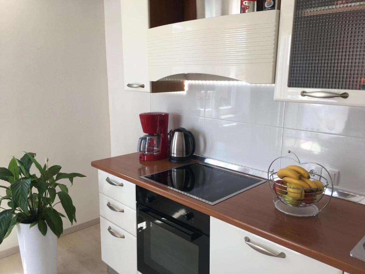 Apartments Roberta Novigrad Istria Extérieur photo