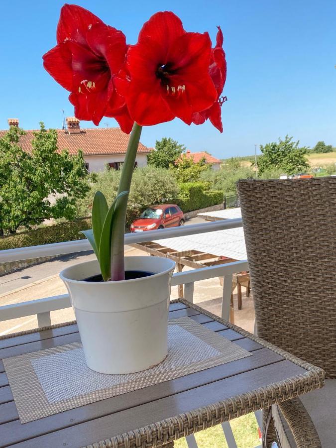 Apartments Roberta Novigrad Istria Extérieur photo