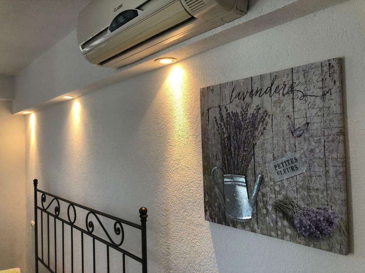 Apartments Roberta Novigrad Istria Extérieur photo